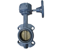BUTTERFLY VALVE