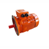 YE3 SERIES THREE PHASE MOTOR