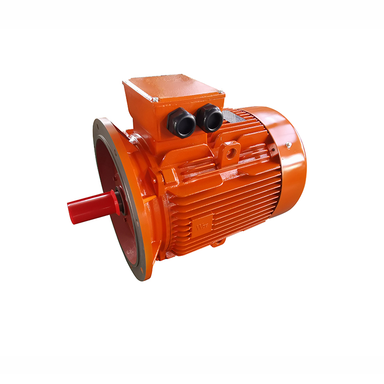 YE3 SERIES THREE PHASE MOTOR