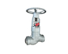 GLOBE VALVE MANUAL